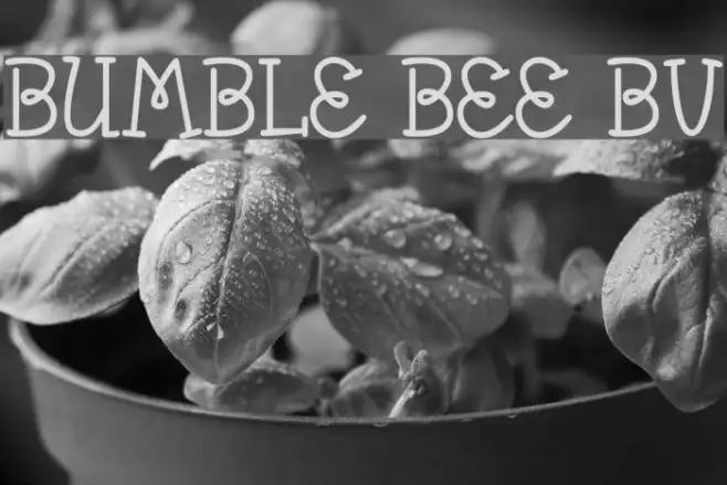 Bumble Bee BV Example 1