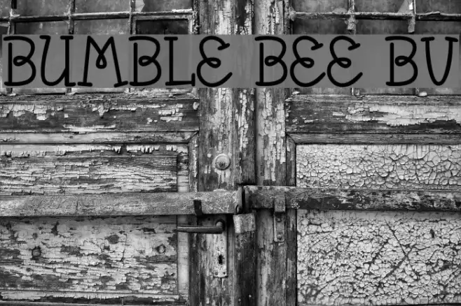 Bumble Bee BV Example 2