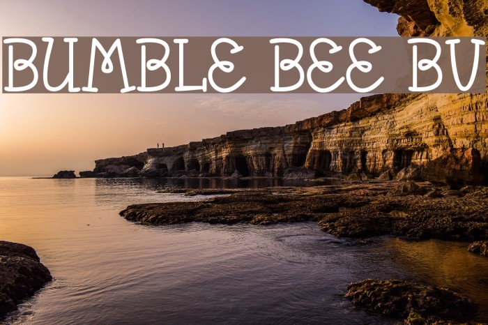 Bumble Bee BV Font examples