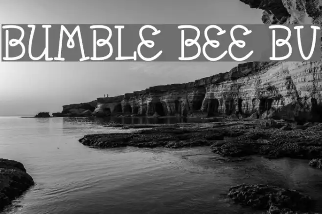 Bumble Bee BV Example 3