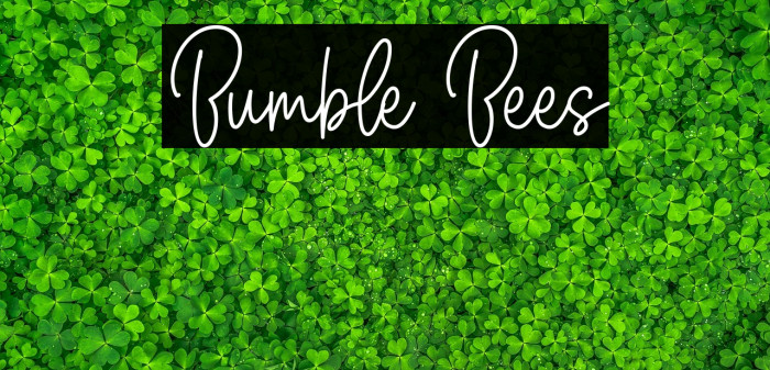 Bumble Bees Example 1