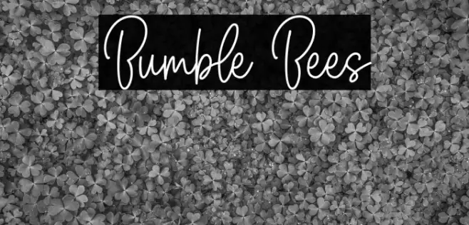 Bumble Bees Example 1