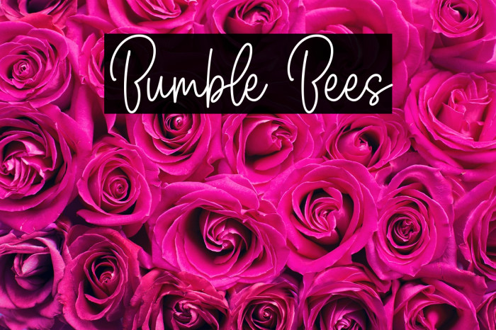 Bumble Bees Example 2