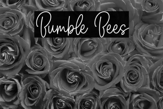 Bumble Bees Example 2