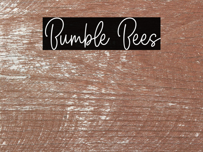 Bumble Bees Example 3