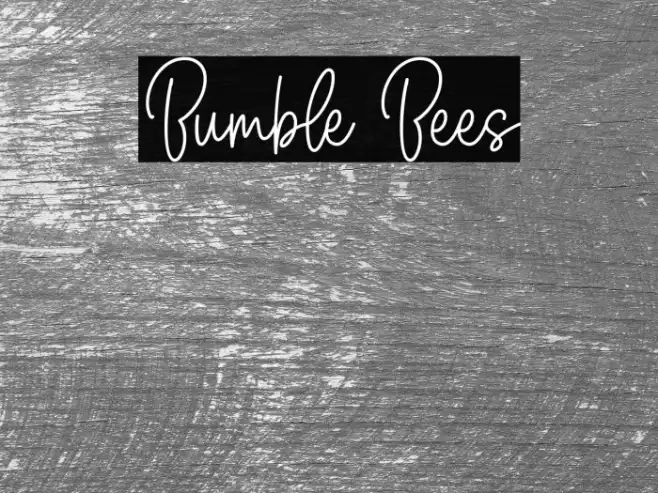Bumble Bees Example 3