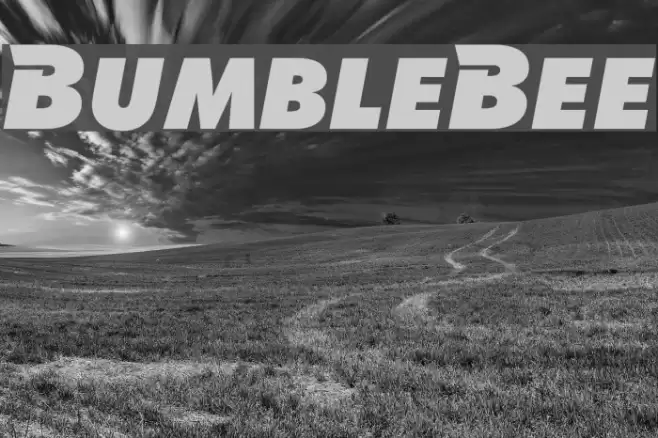 BumbleBee Font examples