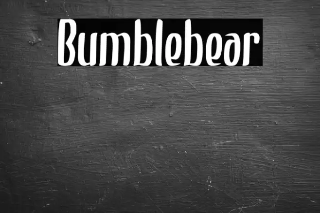 Bumblebear Example 1