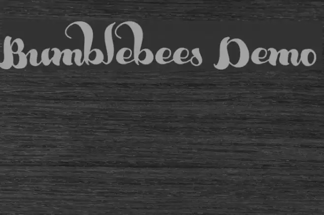 Bumblebees Demo Font examples