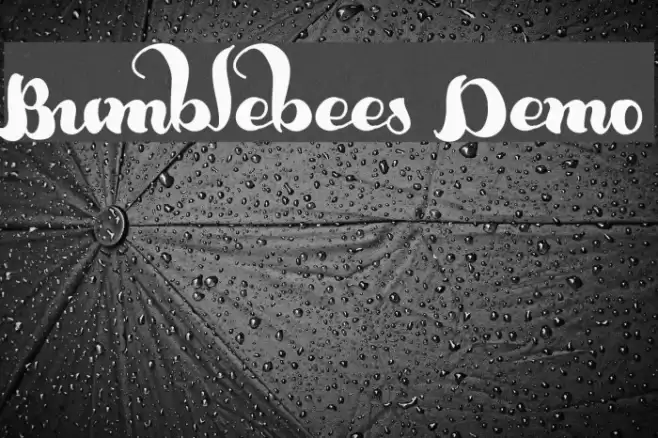 Bumblebees Demo Font examples