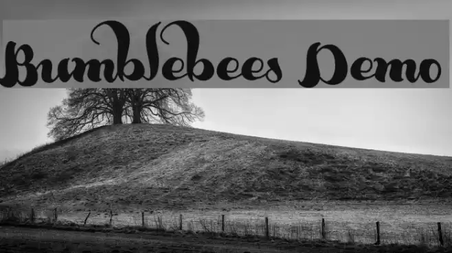 Bumblebees Demo Font examples