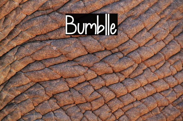 Bumblle Font examples