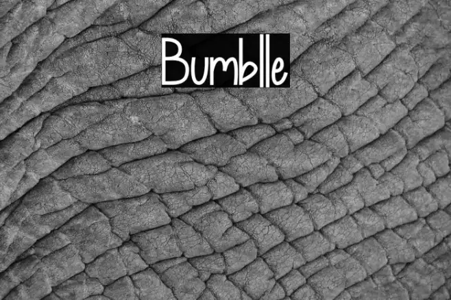 Bumblle Example 2