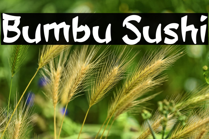 Bumbu Sushi Example 3
