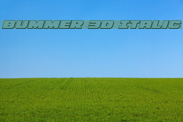 Bummer 3D Italic Polices examples