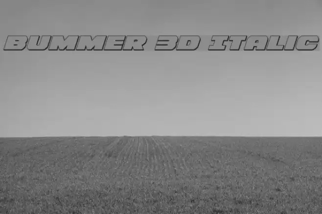 Bummer 3D Italic Font examples