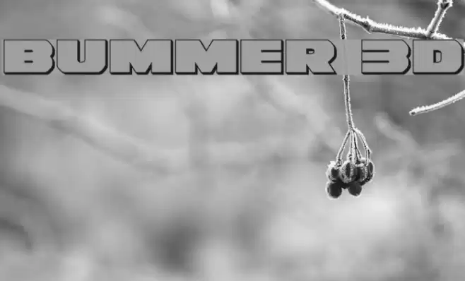 Bummer 3D examples