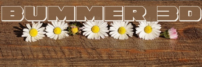 Bummer 3D Polices examples