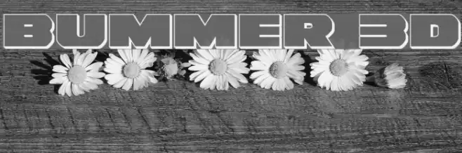 Bummer 3D examples