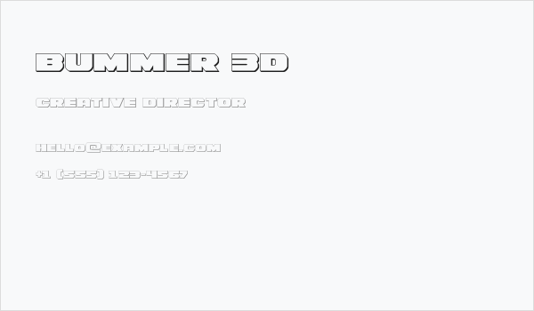 Bummer 3D Business Card