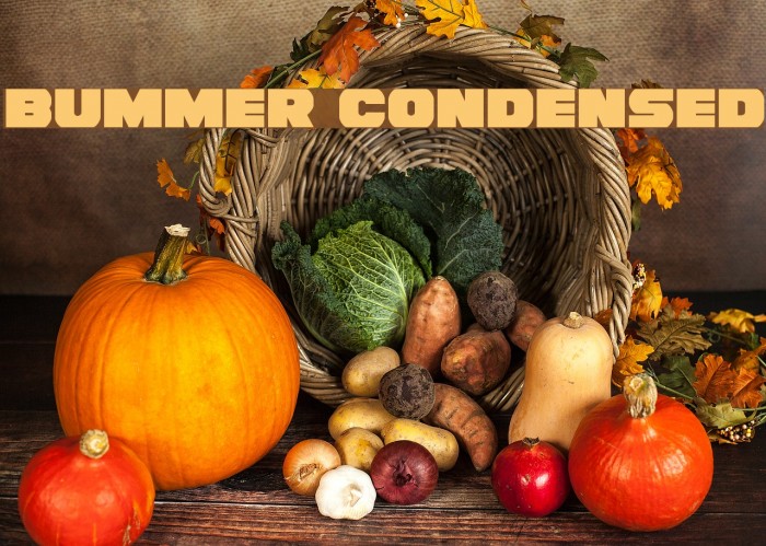 Bummer Condensed Font examples
