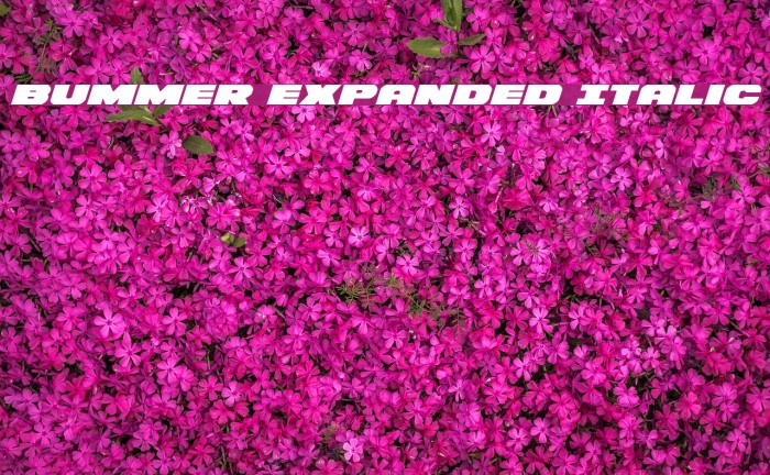 Bummer Expanded Italic Font examples