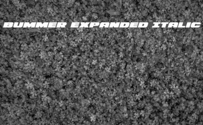 Bummer Expanded Italic Font examples