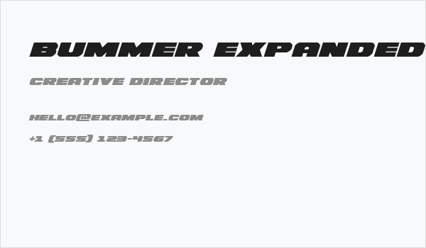 Bummer Expanded Italic Business Card