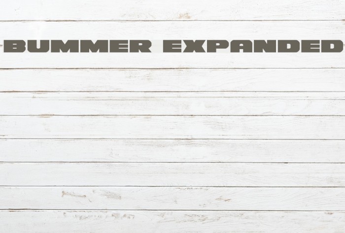 Bummer Expanded Font examples