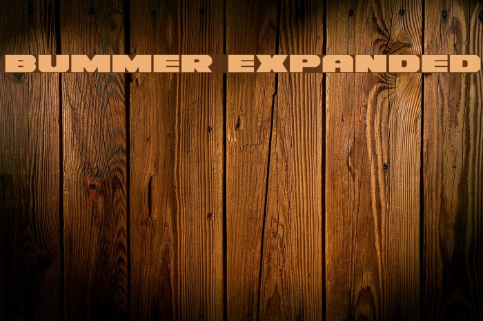 Bummer Expanded Font examples