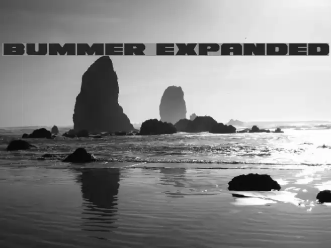 Bummer Expanded Font examples