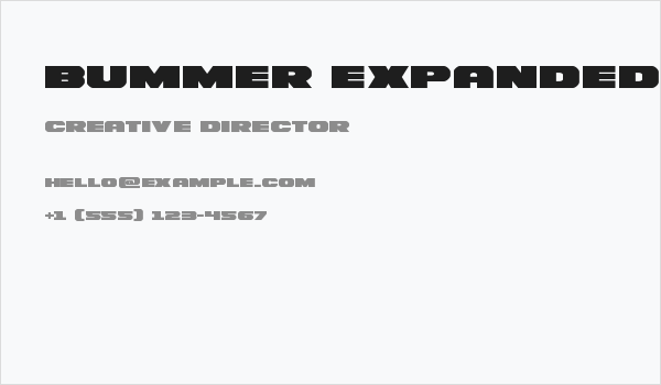 Bummer Expanded Business Card