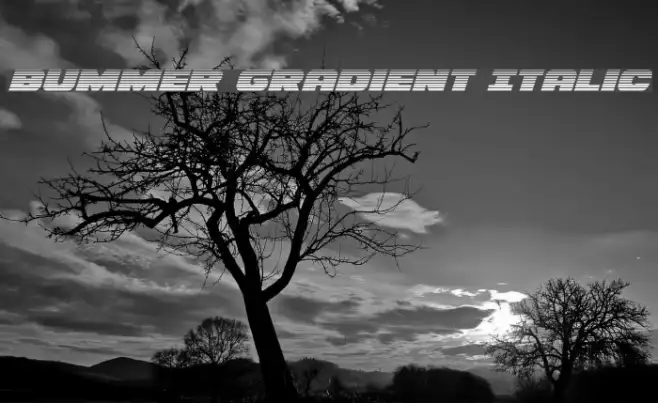 Bummer Gradient Italic Example 2
