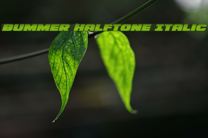Bummer Halftone Italic Font examples