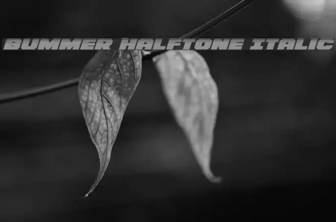 Bummer Halftone Italic Example 1