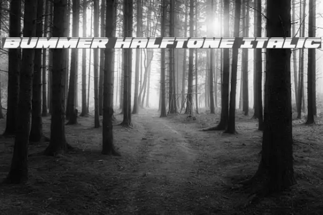 Bummer Halftone Italic Example 2