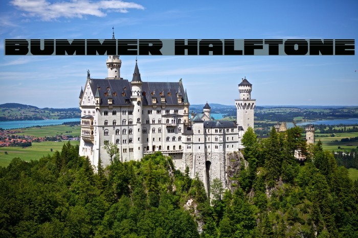 Bummer Halftone Font examples