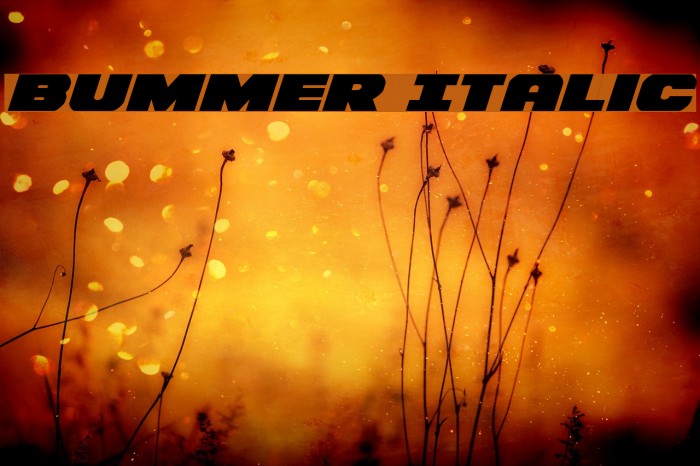 Bummer Italic Font examples