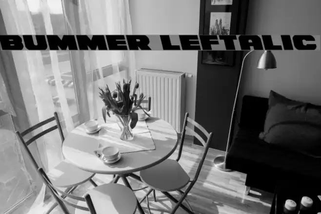 Bummer Leftalic Font examples