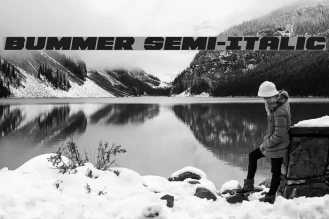 Bummer Semi-Italic Font examples