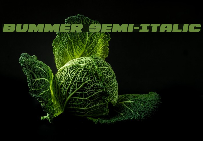 Bummer Semi-Italic Example 3
