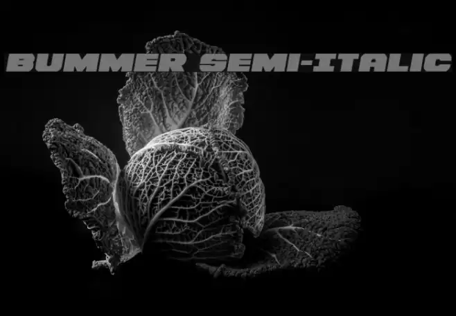 Bummer Semi-Italic Font examples