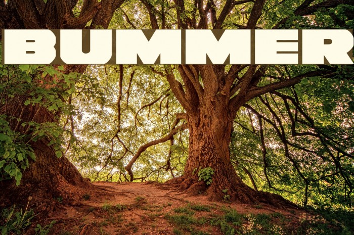 Bummer Font examples
