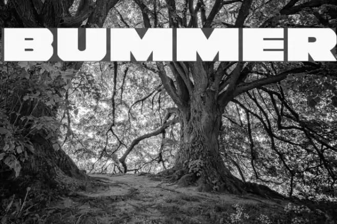 Bummer Caratteri examples