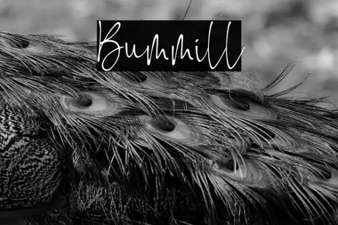 Bummill Example 2