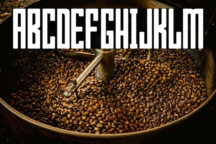 Bumpers 01 Regular Example 1