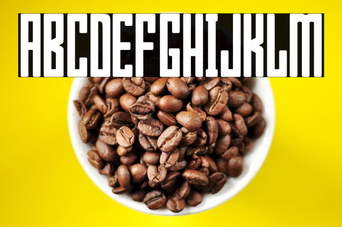 Bumpers 01 Regular Example 2