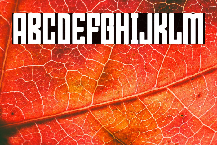 Bumpers 02 Regular Example 2