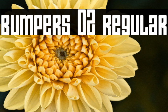 Bumpers 02 Regular Example 1