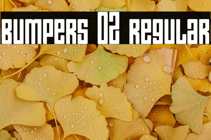 Bumpers 02 Regular Example 2